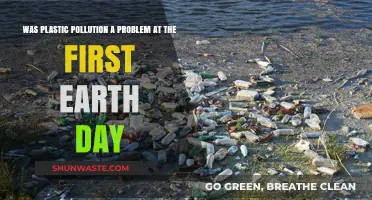 Plastic Pollution: Earth Day's Original Sin?