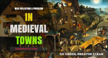 Medieval Towns: Pollution Problems and Solutions