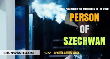 Pollution's Place in Brecht's *The Good Person of Szechwan*