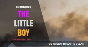 The Little Boy's Toxic Environment