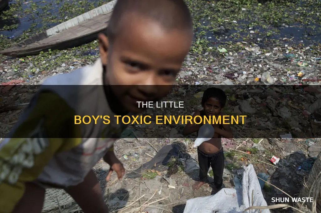 was pollution in the little boy