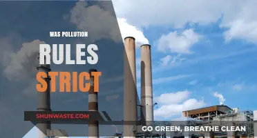 Pollution Rules: Strict or Slack?