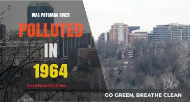 How Potomac River Pollution Was Addressed in 1964