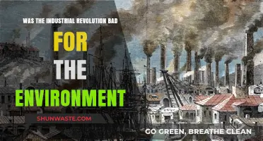 Industrial Revolution's Environmental Impact: A Historical Analysis of Ecological Consequences