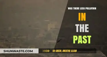 How Pollution Levels Have Changed Over Time