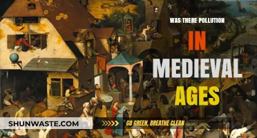 Medieval Pollution: A Historical Perspective on Environmental Issues