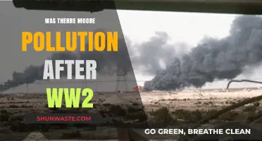 The Impact of WWII on Pollution Levels