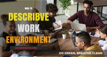 Crafting the Perfect Work Environment: Insights and Strategies for Success