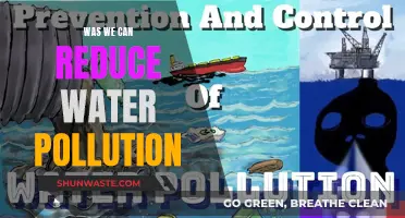 Reducing Water Pollution: Strategies for a Cleaner Future