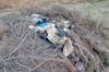 waste disposal