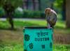 waste food