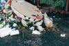 waste food