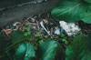 waste hazard
