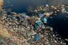 waste management