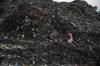 waste management