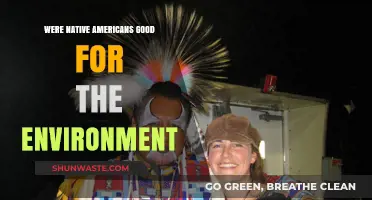 Native Americans' Environmental Stewardship: A Historical Perspective on Sustainability