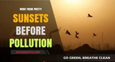 Sunsets Before Pollution: Were They More Beautiful?