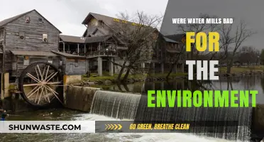 Water Mills' Environmental Impact: A Historical and Ecological Perspective