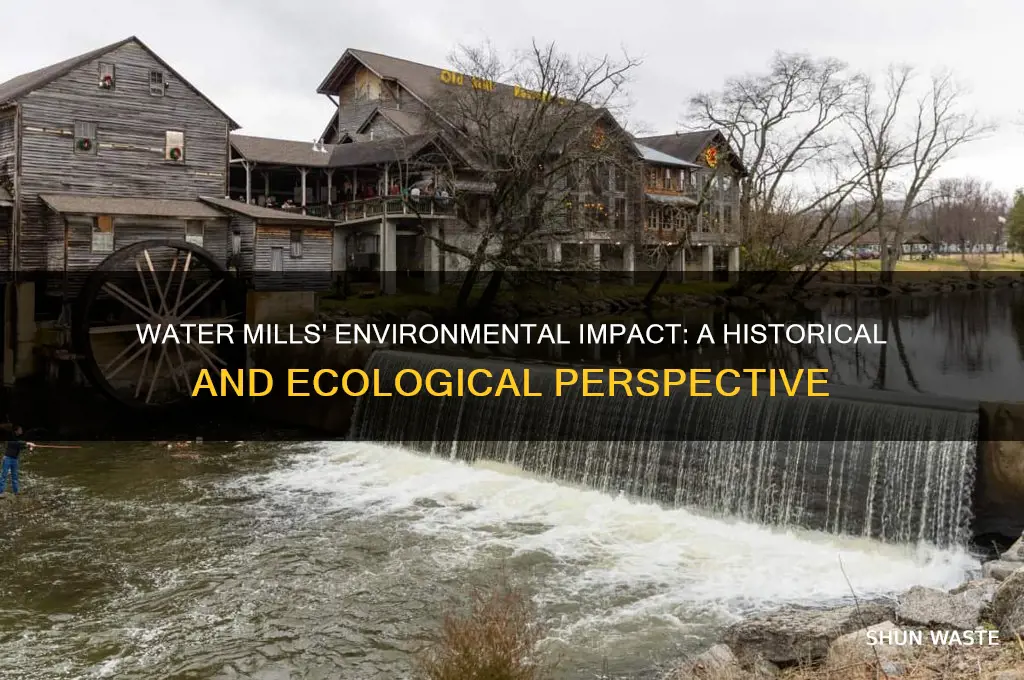 were water mills bad for the environment