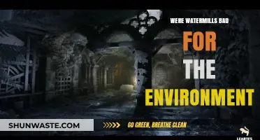Environmental Impact of Watermills: Sustainable or Ecological Disaster?