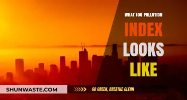 A Grim Picture: The Reality of Living in a Pollution Index of 100