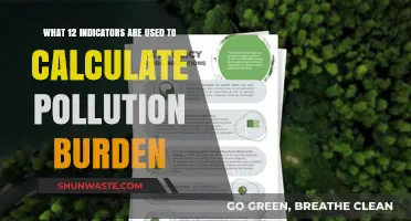 Indicators of Pollution Burden: 12 Key Factors