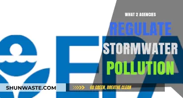 Stormwater Pollution: EPA and State Agencies Take Action