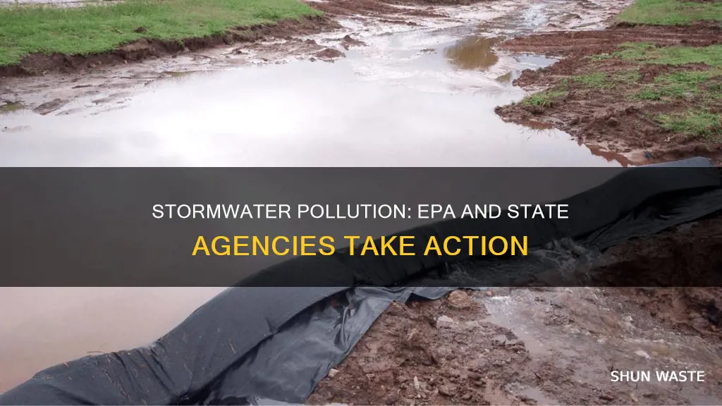 what 2 agencies regulate stormwater pollution