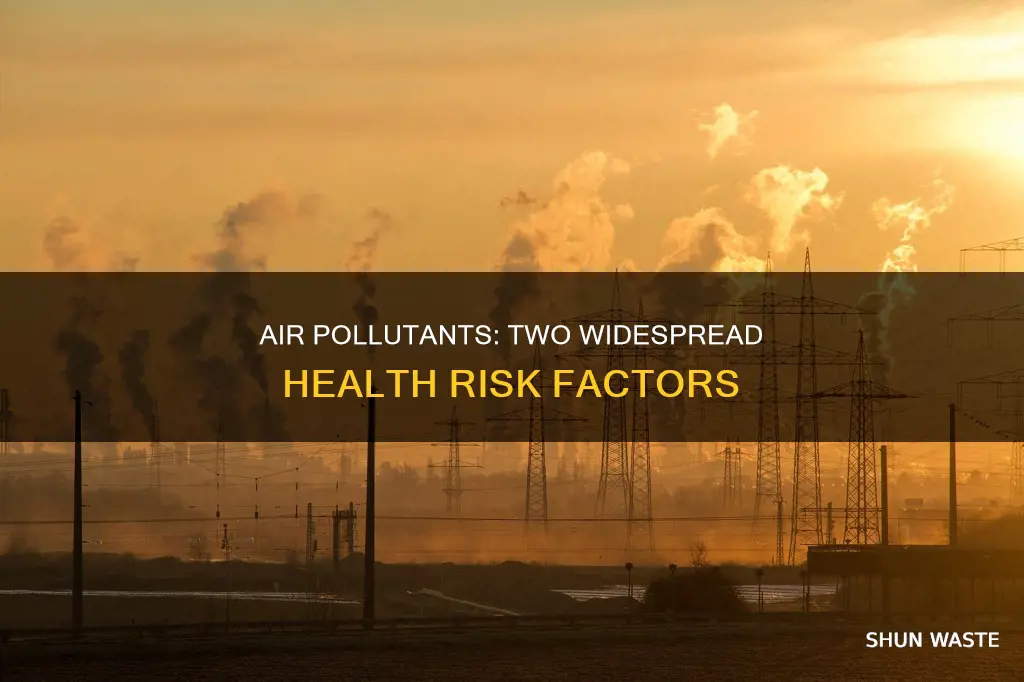 what 2 air pollutants pose most widespread health risks