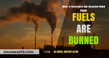 Burning Fossil Fuels: Releasing Greenhouse Gases and Air Toxins