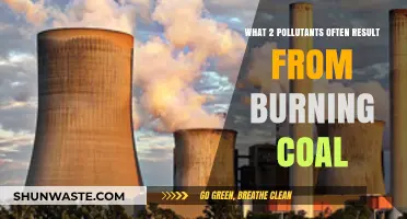 Coal Burning's Toxic Legacy: Pollutants and Their Impact