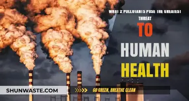 Air and Water: The Two Deadliest Pollutants