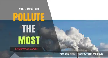 The Worst Polluting Industries and Their Impact