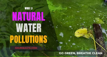 Unveiling Nature's Hidden Water Pollutants: A Comprehensive Guide