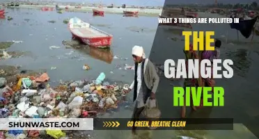 Ganges River Pollution: Three Troubling Toxins