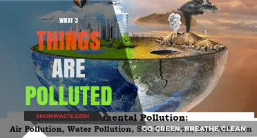 Air, Water, and Soil: Our Polluted World