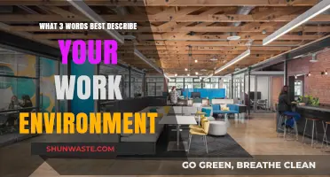 Three Words That Perfectly Capture My Vibrant Work Environment