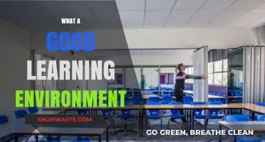 Creating Effective Learning Spaces: Key Elements for Optimal Education