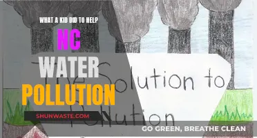 A Young Hero's Effort: NC's Water Pollution Solution