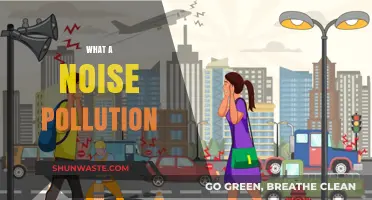 The Disturbing Effects of Noise Pollution