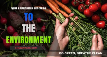 Plant-Based Diets: Transforming Environmental Health and Sustainability
