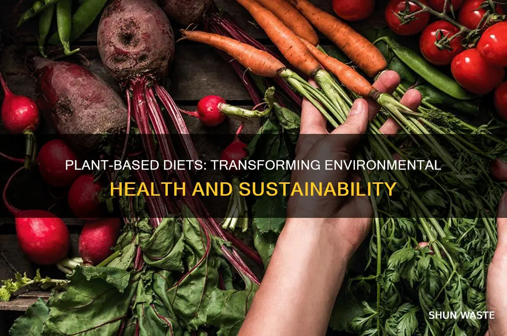 what a plant based diet can do to the environment