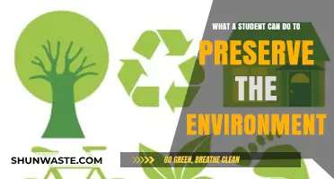 Eco-Friendly Habits: Simple Steps Students Can Take to Protect Our Planet