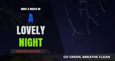 Wasted Evening: Reflecting on a Lovely Night Gone Wrong