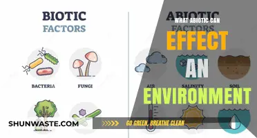 How Abiotic Factors Shape and Transform Ecosystems and Environments
