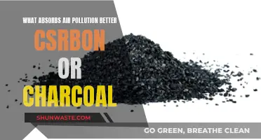 Charcoal vs Carbon: Which One Absorbs Air Pollution Better?