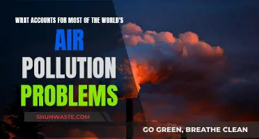Air Pollution: Who's Responsible?
