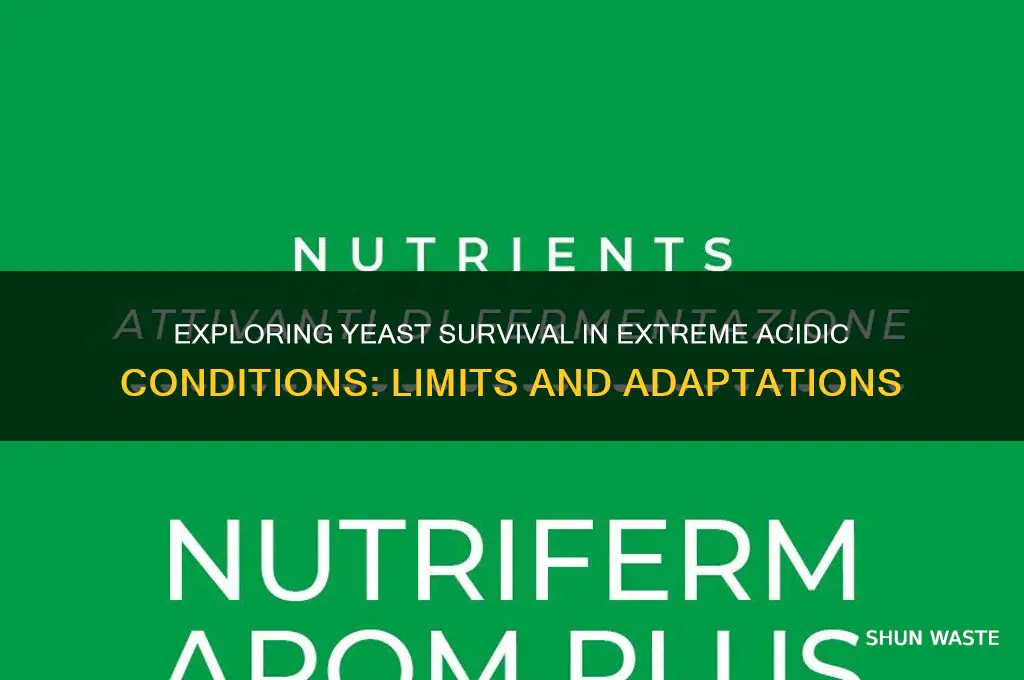 what acidic environments can yeast undergo