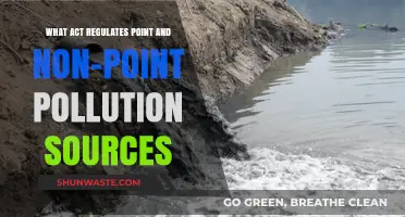Understanding the Law: Pollution Sources and Their Regulation
