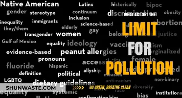 The Clean Air Act: Pollution Limits and Our Health